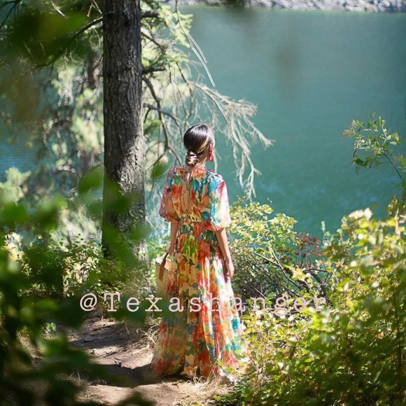 NWT One33 Social The Francesca Floral Maxi Gown Size 4 - Picture 11 of 16